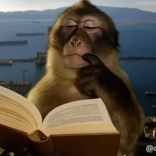 🧐 monkey, reading, book, thinking, study, animal, intellectual telegram sticker