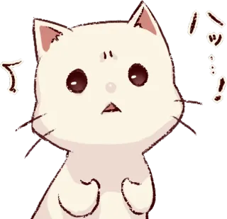 😰 バツ cat, cute, animal, kawaii, sticker, cartoon telegram sticker