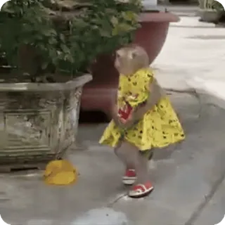🪷 whatsapp sticker