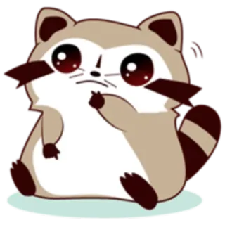 😟 mapache, animal, dibujos animados, dedo corazón, ofensivo, gesto whatsapp sticker