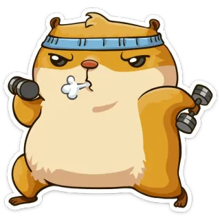 💪 hamster, exercício, fitness, pesos, desenho animado, animal, treino telegram sticker