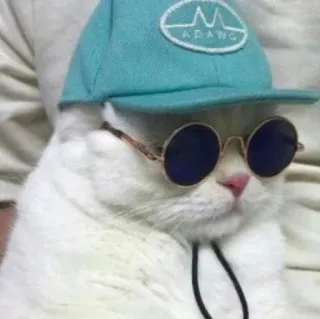 Christian's Cat Pack whatsapp stickers