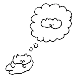 🤍 кот, спящий, сон, милый, животное telegram sticker