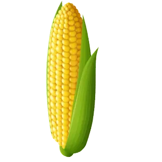 🌽 maíz, comida, verdura, maíz, amarillo, verde telegram sticker