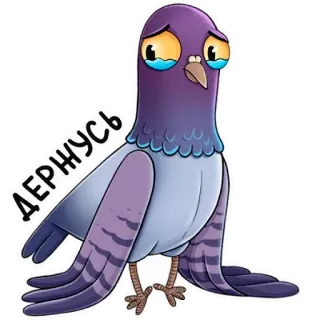 🥺 ДЕРНУСЬ pigeon, bird, crying, sad telegram sticker