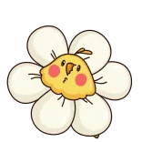 🌺