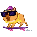 ๐ hond, skateboard, dier, zonnebril, cartoon, sticker, cool, huisdier telegram sticker