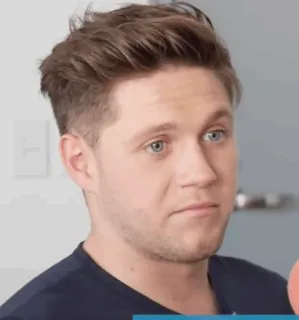 🎸 Niall Horan músico, cantor, celebridade, retrato, One Direction telegram sticker