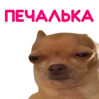 😔 ПЕЧАЛЬКА dog, chihuahua, sad, meme, russian telegram sticker