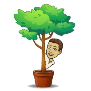 💸 arbre, plante, avatar, dessin animé, personne, bitmoji, plante en pot telegram sticker