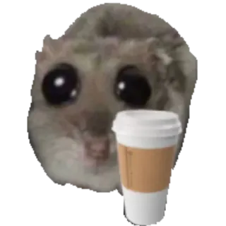 ☕ 햄스터, 커피, 귀여운, 동물, 밈 whatsapp sticker