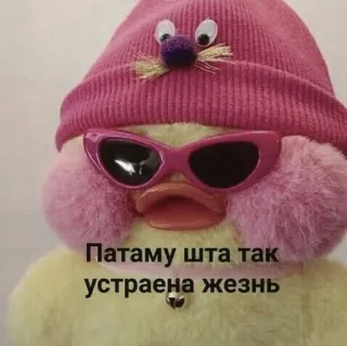 😎 Патаму шта так устроена жезнь Ente, Sonnenbrille, Meme, Russisch, Lustig, Stofftier whatsapp sticker