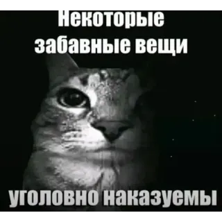 🔥 Floppa Некоторые забавные вещи уголовно наказуемы telegram sticker