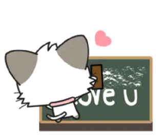 💕 Love U amor, gato, fofo, coração, quadro negro whatsapp sticker
