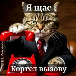 ☎️ Я щас Кортел вызову telegram sticker