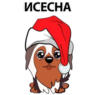 😄 ИСЕСНА dog, christmas, santa hat, cute, holiday telegram sticker