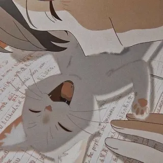 💗 kot, anime, rysunek, słodki, zwierzę domowe, śpiący, zwierzę telegram sticker