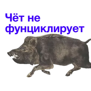 🙅 Чёт не функционирует jabalí, animal, salvaje, gracioso, ruso telegram sticker