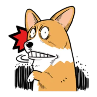 😳 dog, cartoon, corgi, angry, expression, animal, funny telegram sticker