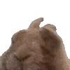 🕺