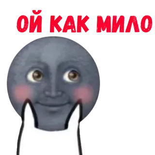 😻 Ой как мило luna, carino, gatto, espressione, russo telegram sticker