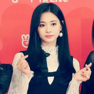 🎠 Tzuyu kpop, cantante, celebrità, twice, idol telegram sticker