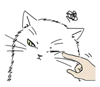 😑 gatto, animale, carino, animale domestico telegram sticker