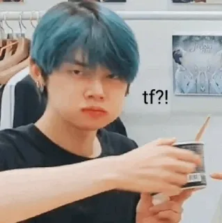 🌸 tf?! 반응, 웃긴, 밈, 질문, 표정 telegram sticker