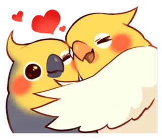 😍 oiseaux, amour, cockatiel, mignon, affection, animaux, cœur whatsapp sticker