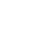 ⚡️