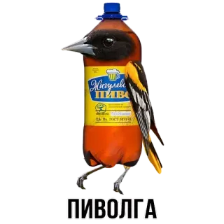 🍻 Жигулевское ПИВО
ПИВОЛГА uccello, birra, bottiglia, alcol, birra, Pivolga telegram sticker