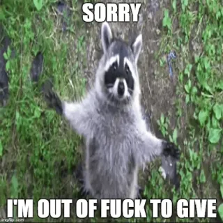😗 SORRY
I'M OUT OF FUCK TO GIVE mapache, lo siento, meme, ofensivo whatsapp sticker