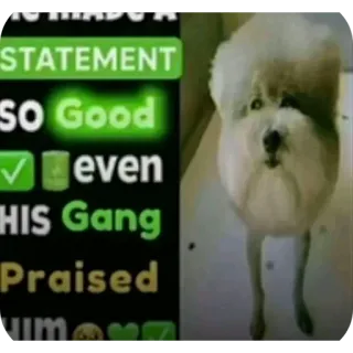 ✅ HE MADE A STATEMENT SO Good even HIS Gang Praised him whatsapp sticker