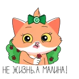 🍓 НЕ ЖИЗНЬ А МАЛИНА! Katze, Cartoon, süß, Tier whatsapp sticker
