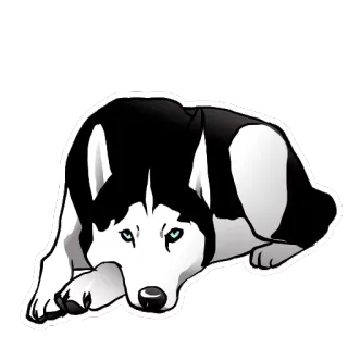 😟 chó, husky, động vật, dễ thương telegram sticker