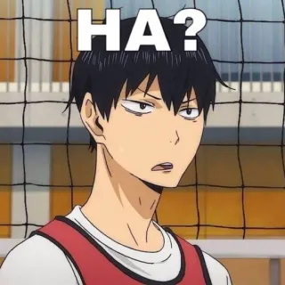 😥 Kageyama Tobio Haikyuu!! HA? anime, haikyuu, kageyama, volleyball, funny, confused telegram sticker