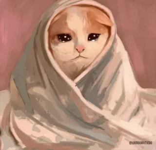 🥺 @UNDRAMATICDO chat, triste, pleurs, couverture, mignon, mème whatsapp sticker