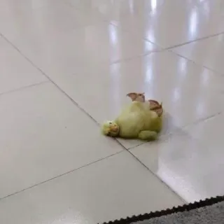 🐥 duck, animal, toy, cute, yellow whatsapp sticker