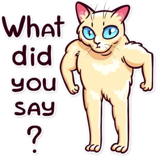 💪 What did you SAY? cat, muscular, question, funny, cartoon, meme telegram sticker