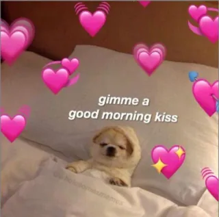 💗 gimme a
good morning kiss anjing, ciuman, pagi, hati, cinta, imut, hewan telegram sticker