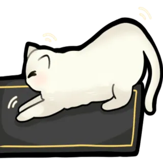 🐾 cat telegram sticker