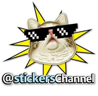 ⚡ @stickersChannel chat, lunettes de soleil, autocollant, mème, animal whatsapp sticker