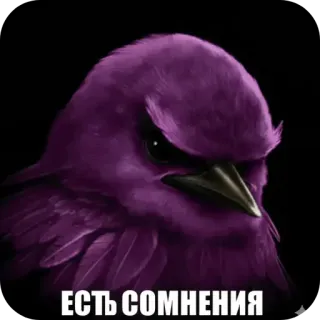 🐦‍⬛️ ЕСТЬ СОМНЕНИЯ purple, bird, angry, skepticism, doubt, meme, suspicious telegram sticker