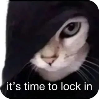 👍 Beluga Cat Beluga (YouTube series) it's time to lock in cat, hoodie, meme, lock in, serious, beluga, funny telegram sticker