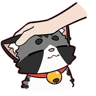 🤏 cat, pet, cute, animal, sticker, hand, affection whatsapp sticker