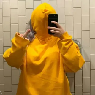 🕸 mittelfinger, beleidigend, hoodie, selfie, geste telegram sticker