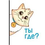 👀 I'm Cute kot, słodki, naklejka, kociak, zwierzę domowe, zwierzę telegram sticker