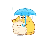 ☔️ cat, umbrella, rain, cute, animals, weather telegram sticker