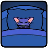 😴