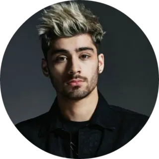 😐 Zayn Malik singer, celebrity, person, portrait, male telegram sticker